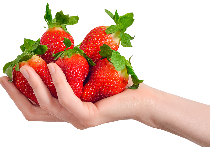 hand holding strawberries
