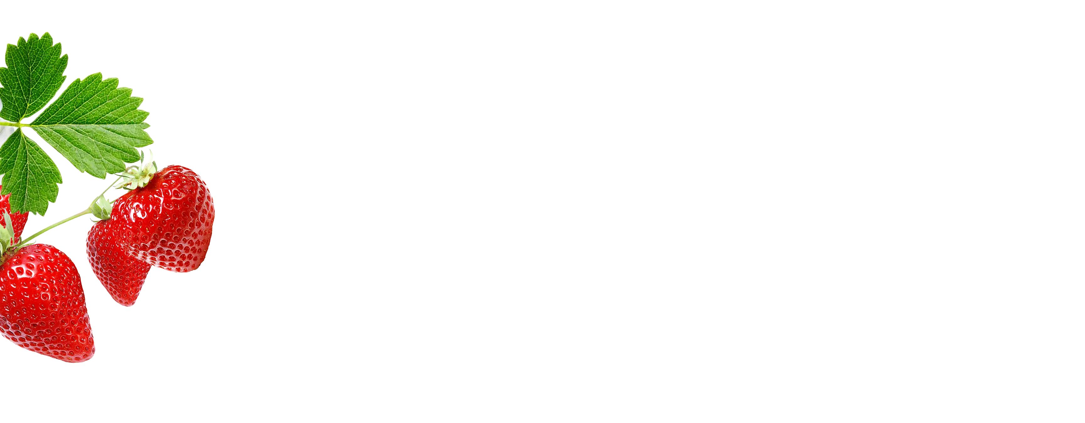 hero03