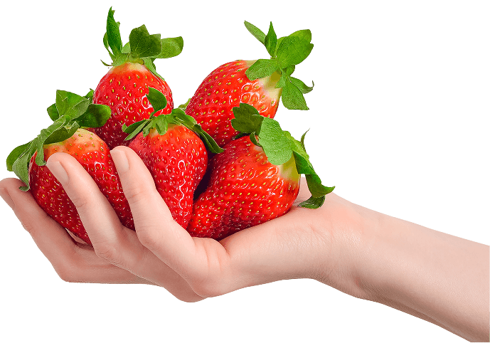 hand holding strawberries