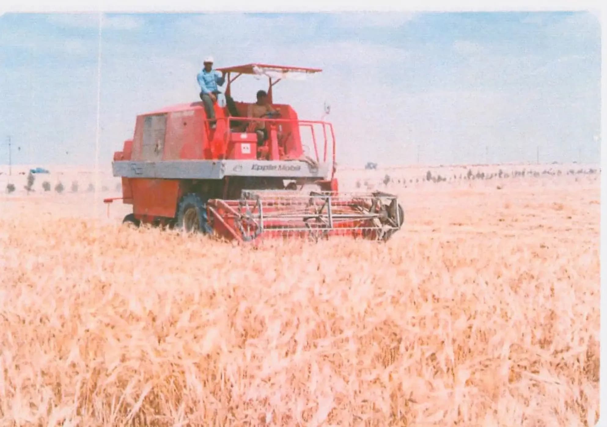 Years of Growth Image