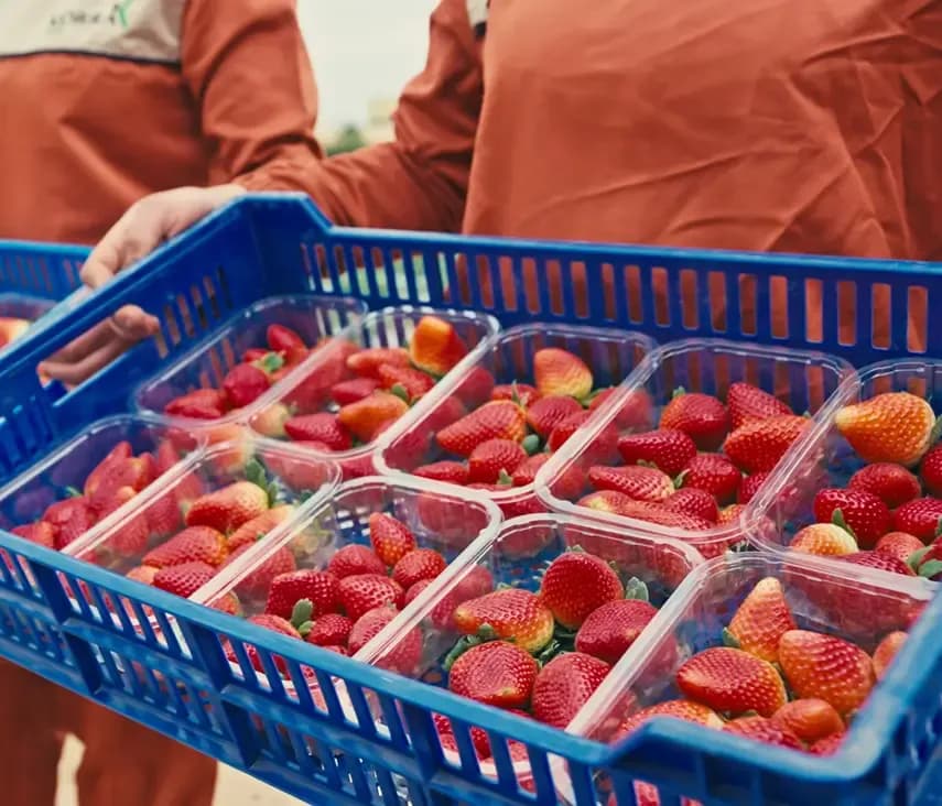 التميّز في اعمالنا