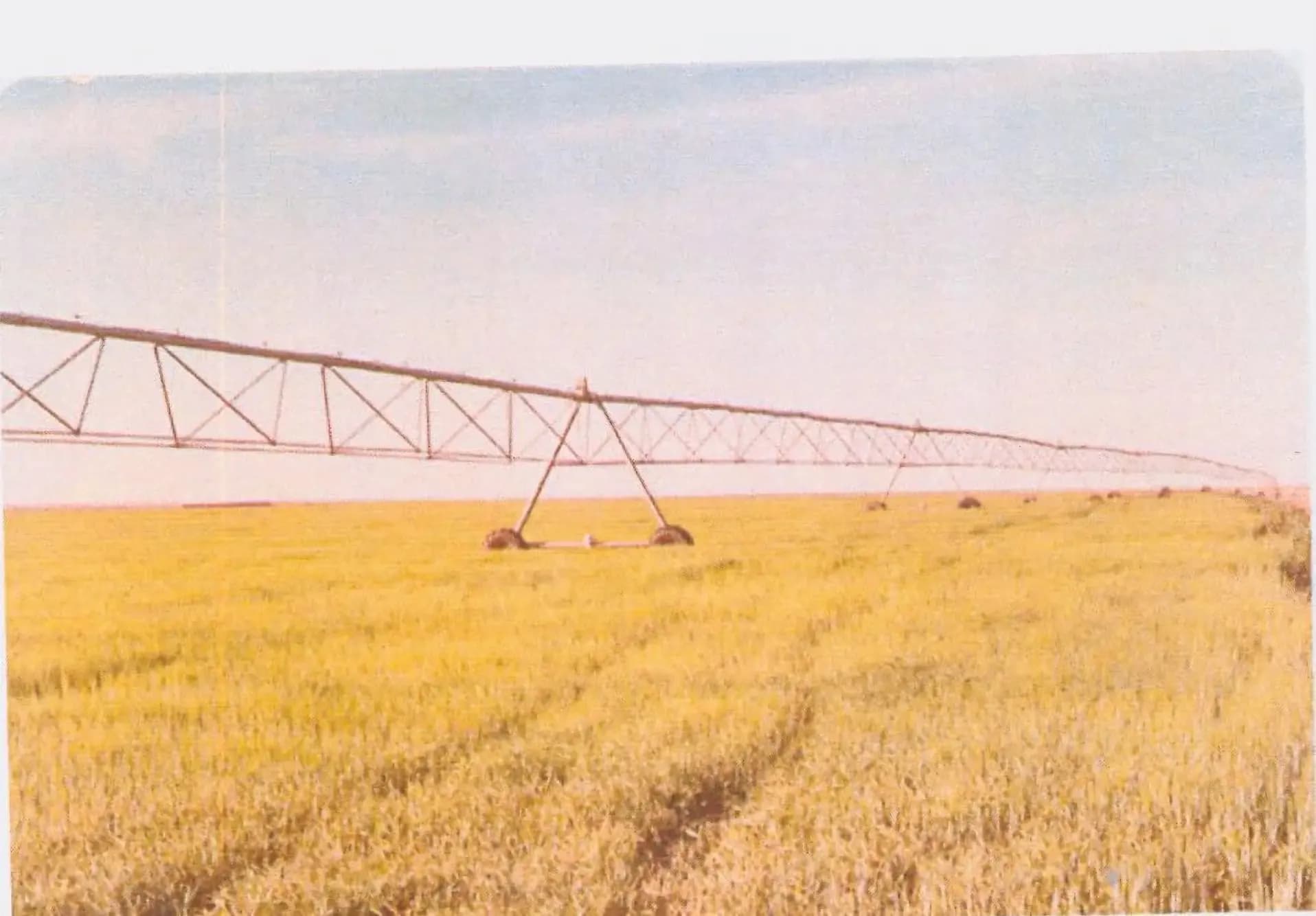 Years of Growth Image