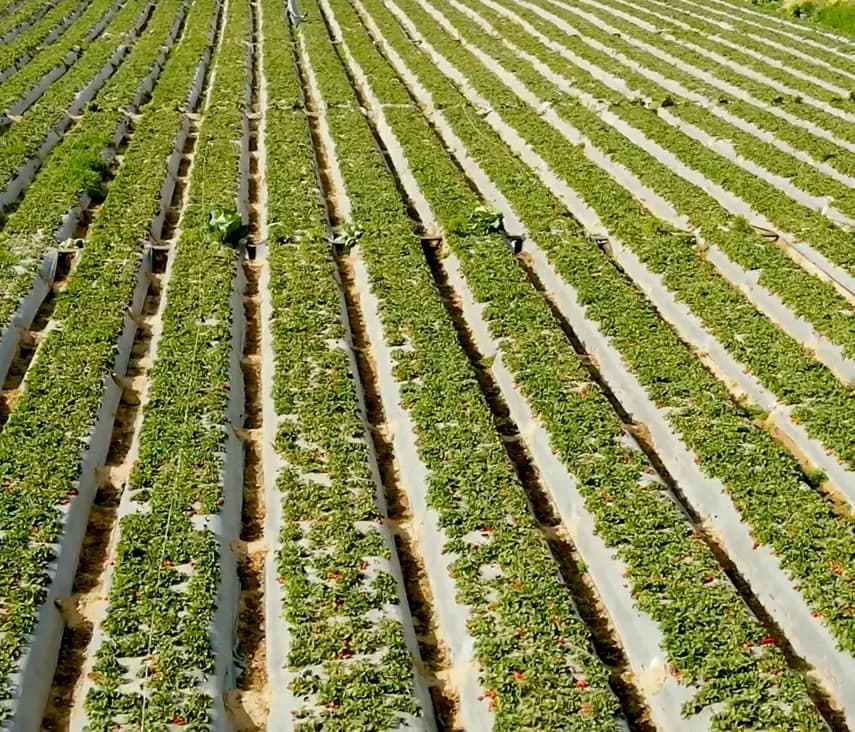 ترك أثر و قيمة 