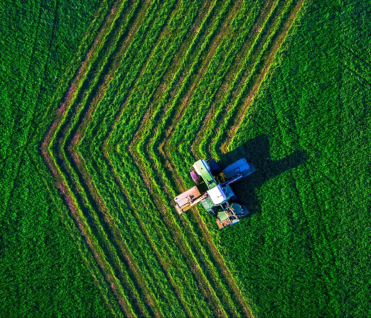 Product Catalogue Cover